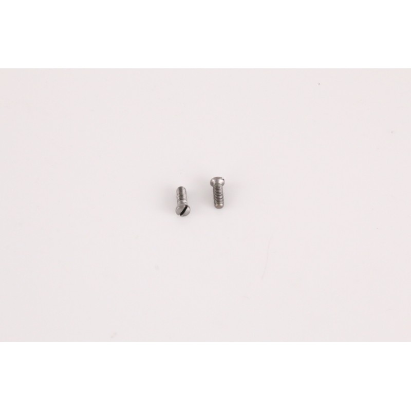 Ruger Old Army - 19 screw
