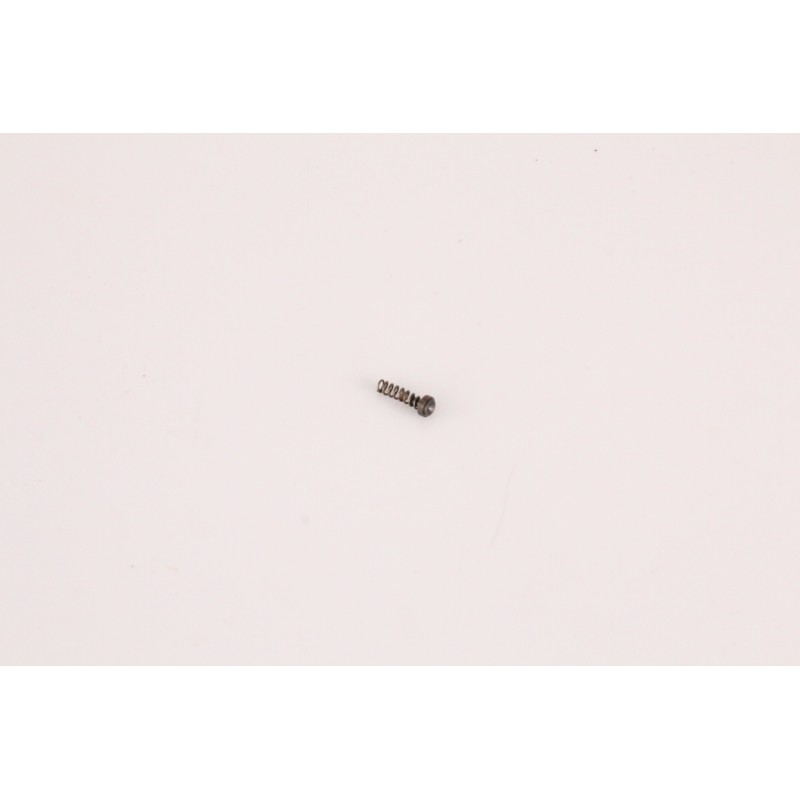 Walther PPK - 16 hammer block spring with cover plate