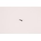Walther PPK - 16 hammer block spring with cover plate